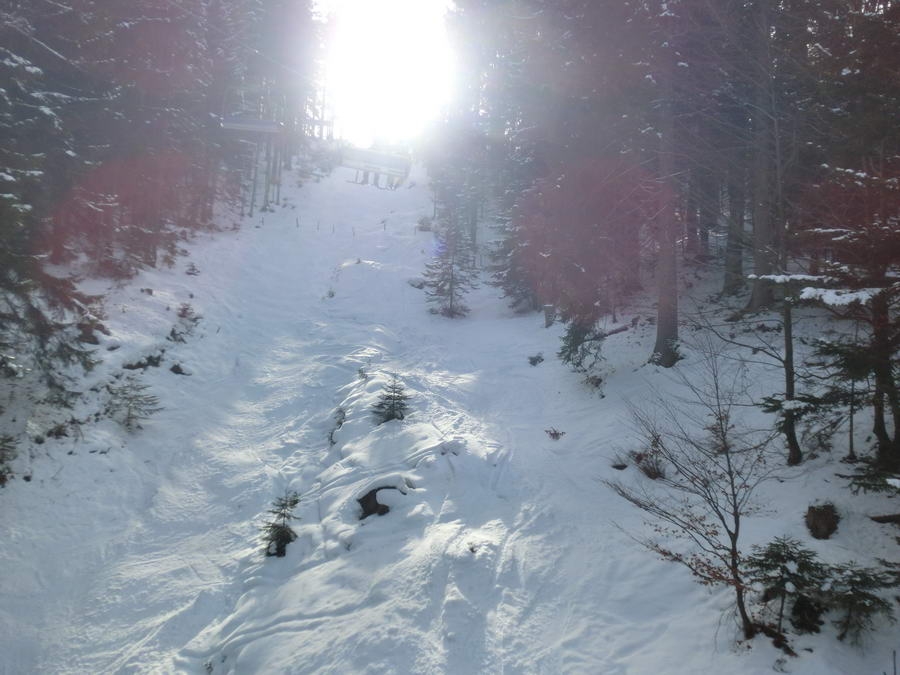 02- Dachstein, Rodeln, Geischl 054